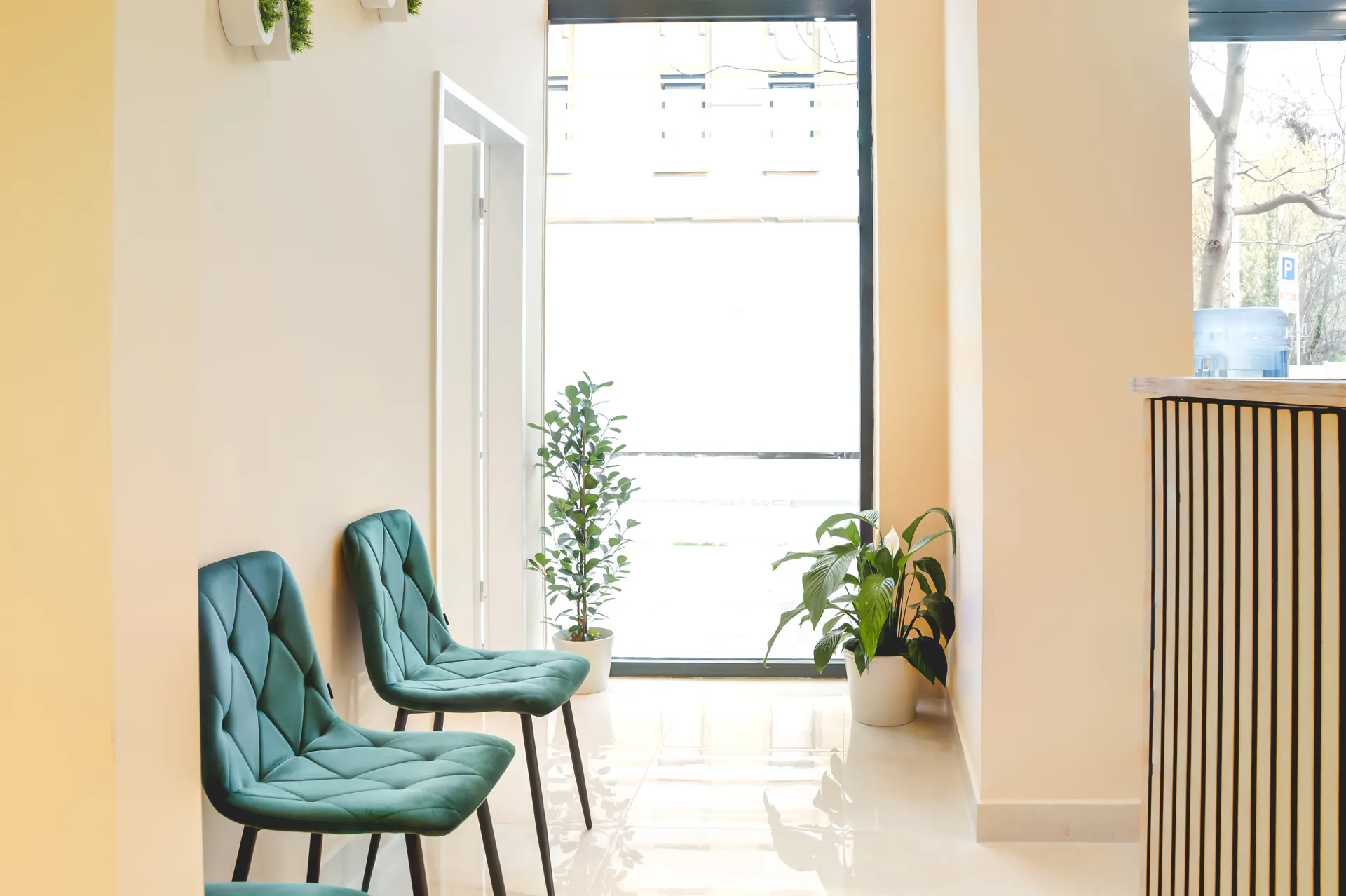Bright waiting area at the Budapest clinic for patients travelling from the USA